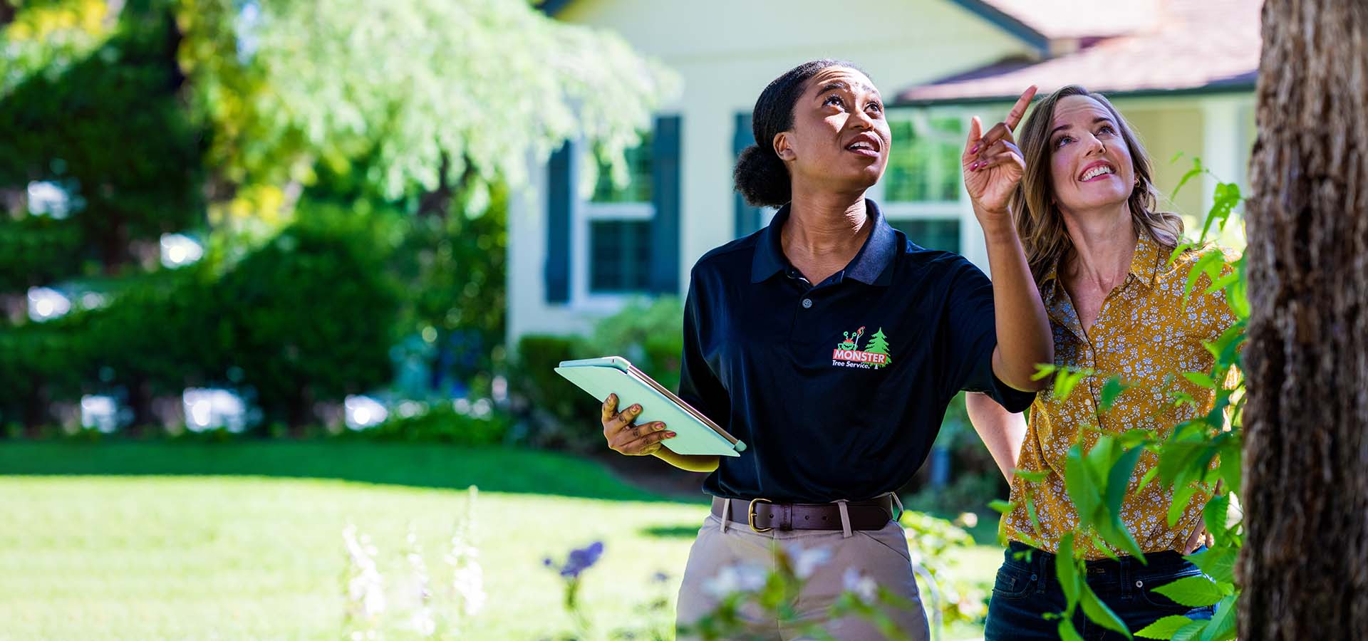 Tree Service