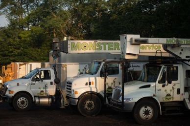 Tree trimming trucks