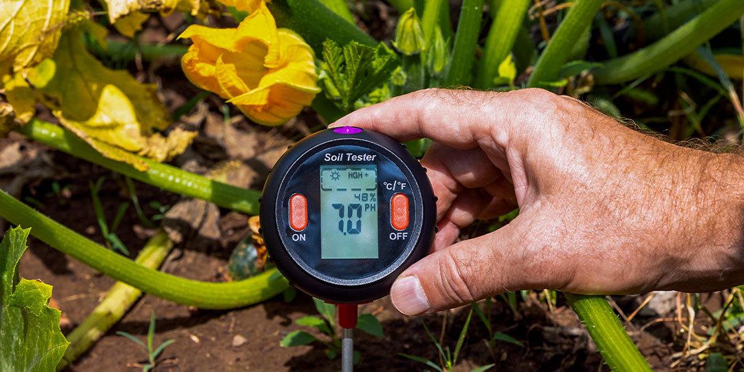 What Is Soil pH and What Does It Mean for Your Trees?