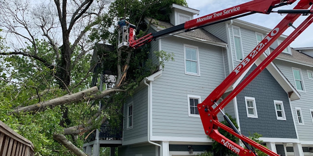 Monster Tree Service Image