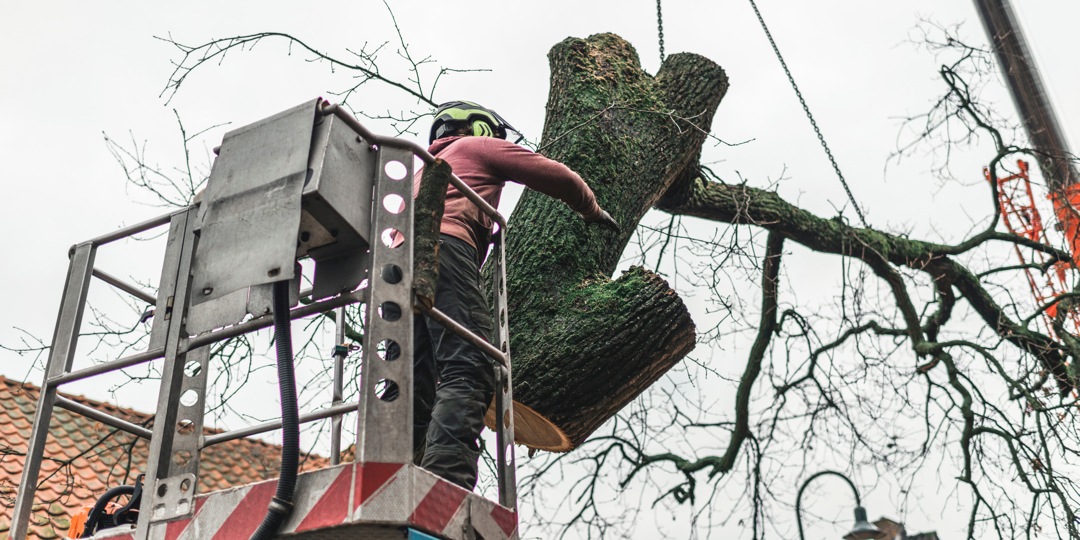 Man in platform putting chopped tree in right direction.