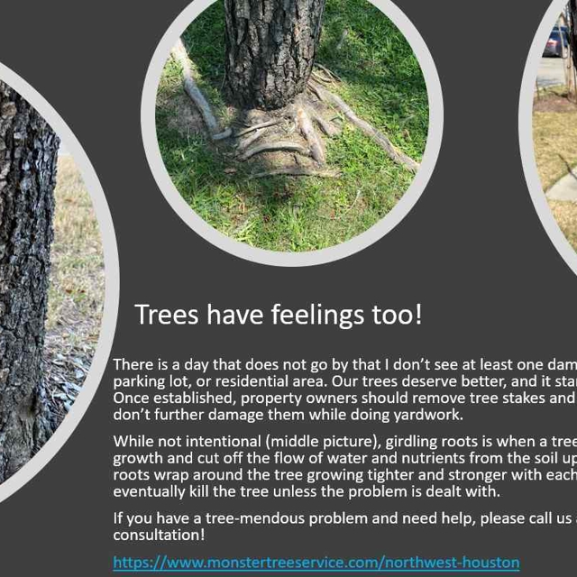 Photo Gallery | Monster Tree Service of Northwest Houston