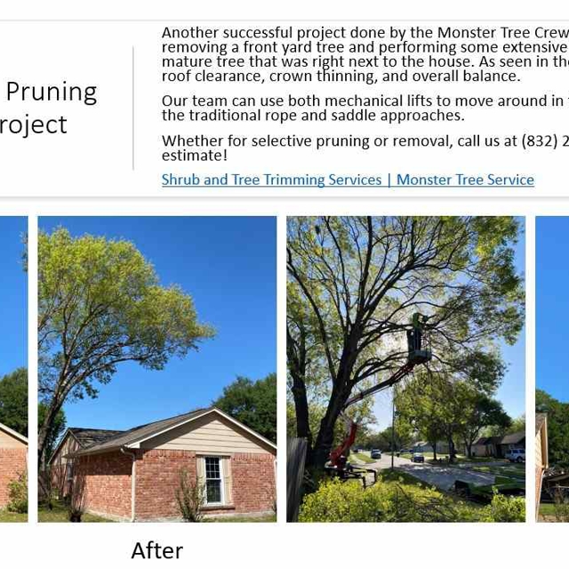 Photo Gallery | Monster Tree Service of Northwest Houston