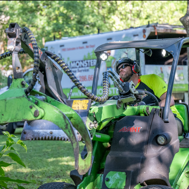 Photos | Monster Tree Service of Bucks and Montgomery Counties