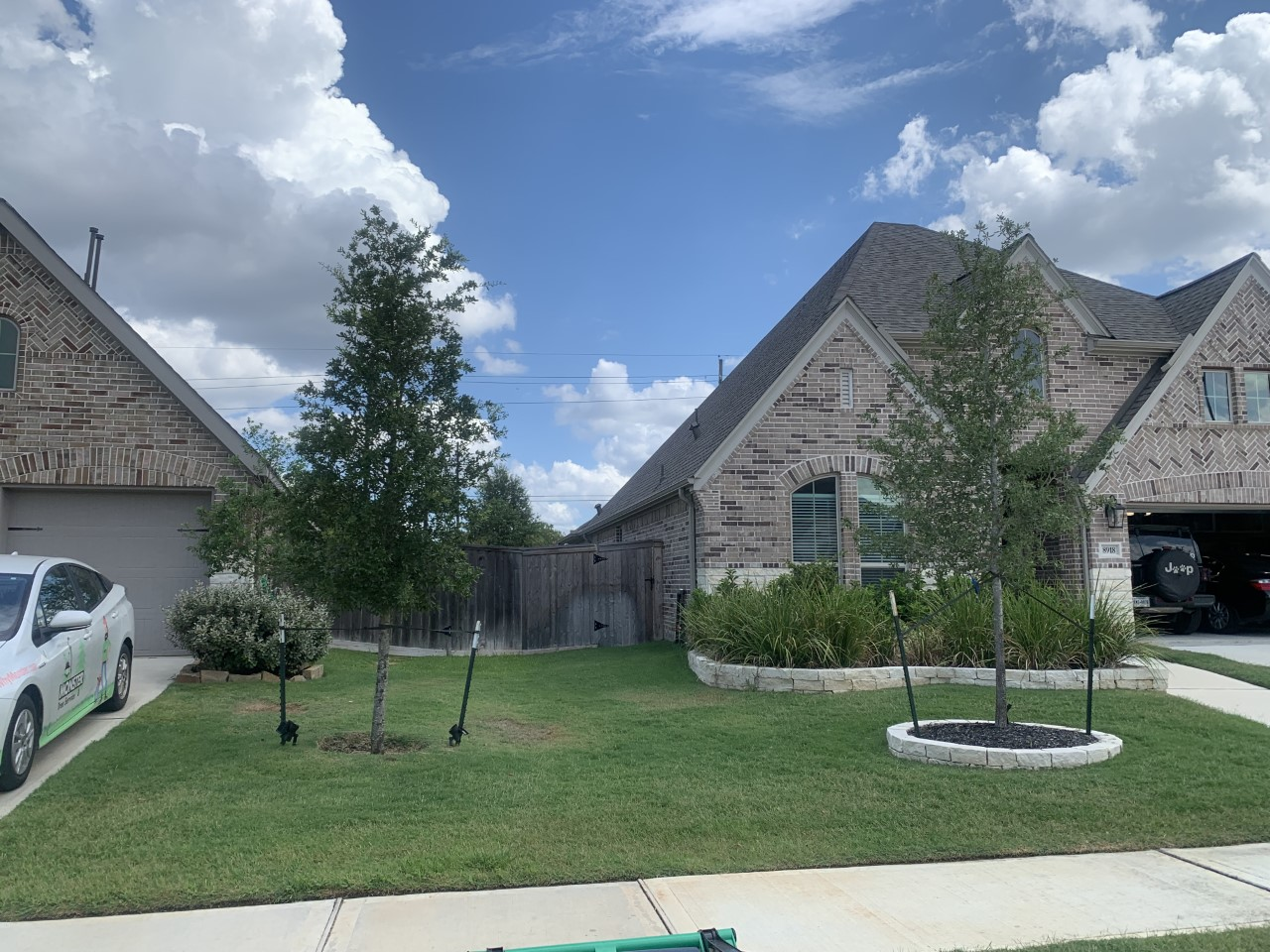 Image of two trees in front of residential homes 