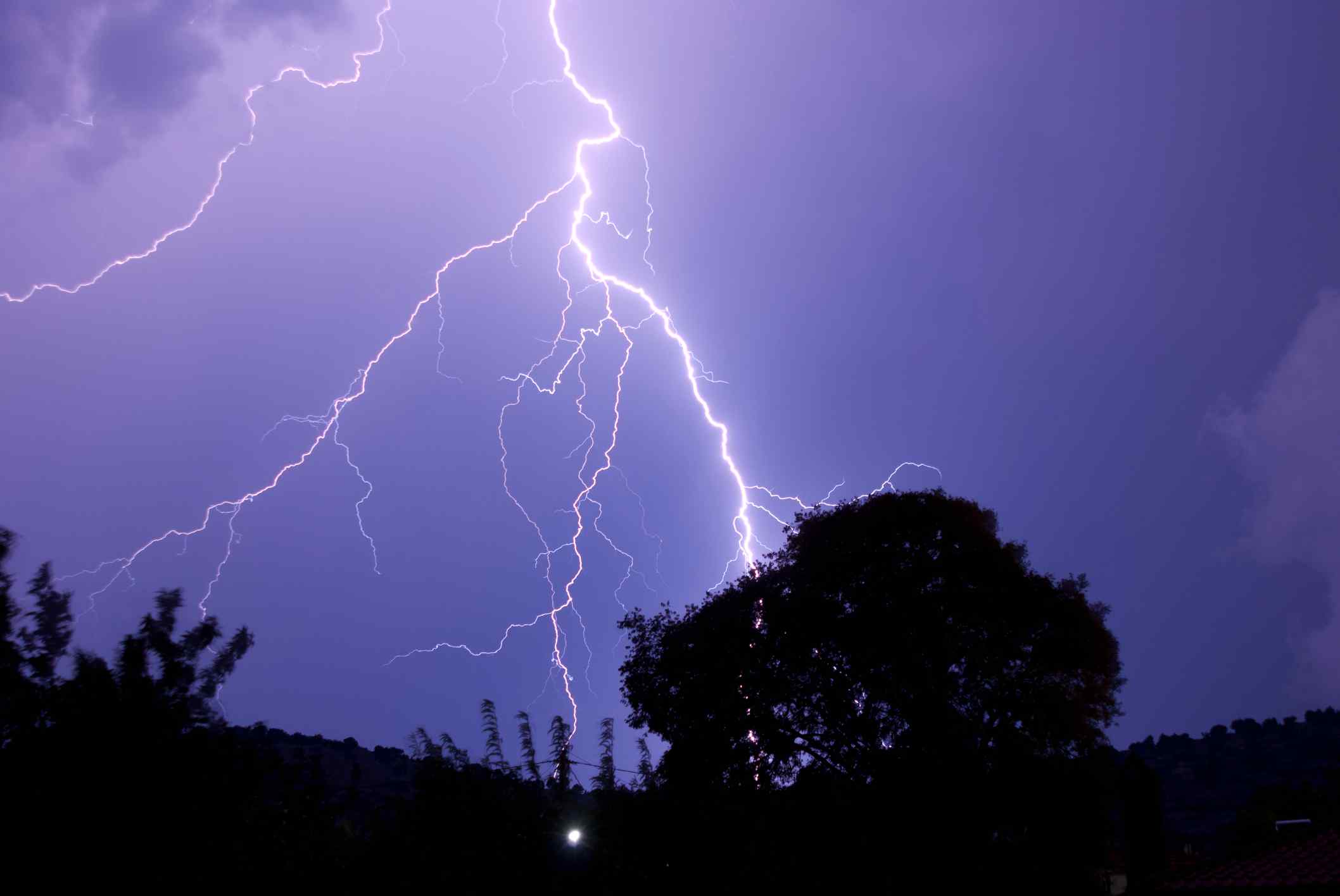 Top 4 Lightning Safety Tips for Trees Monster Tree Service