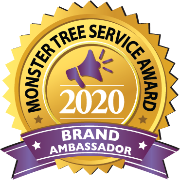 Brand Ambassador Award