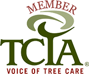 TCIA Member TCIA Member