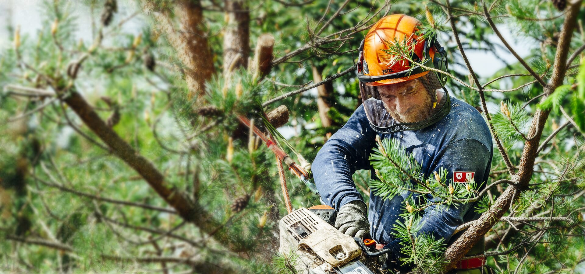 tree service hiram ga