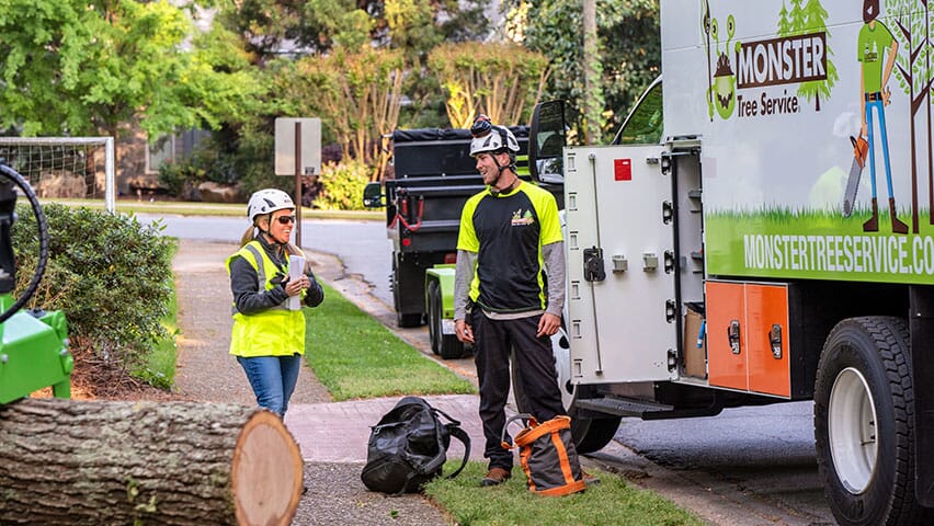Tree Service