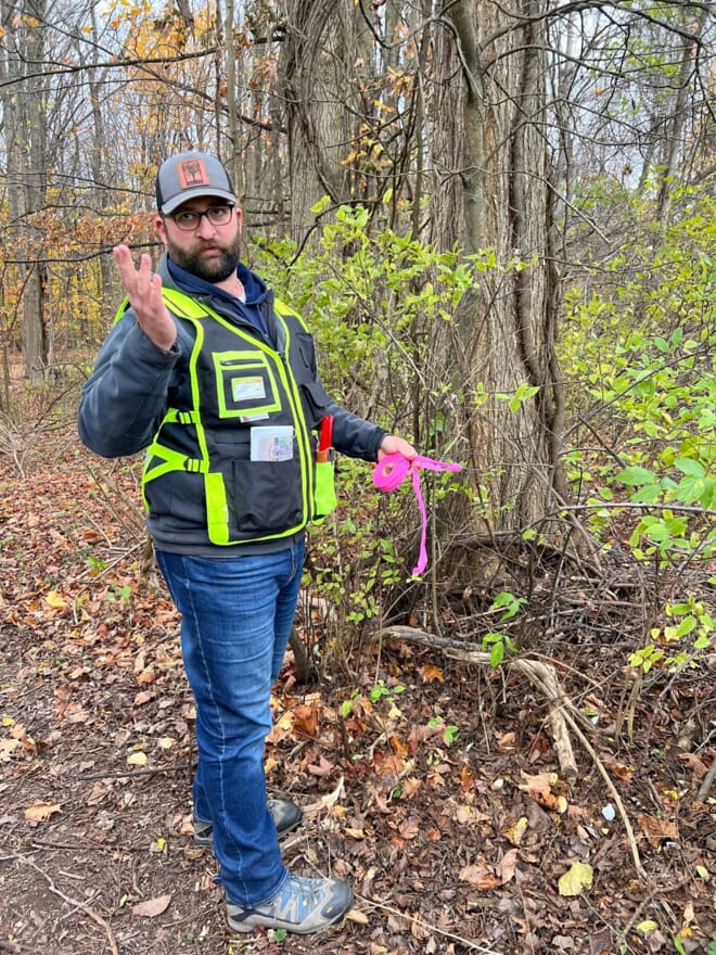 Jason flagging trees