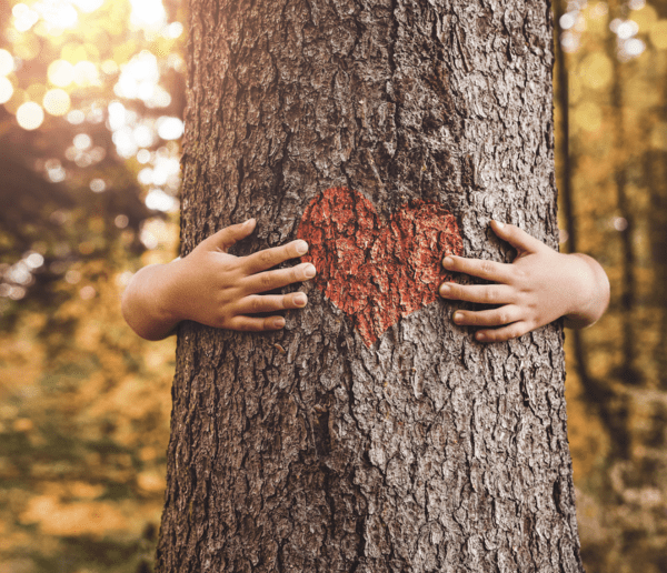 person hugging tree