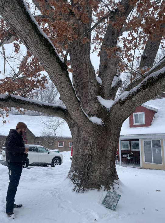 man by tree in show