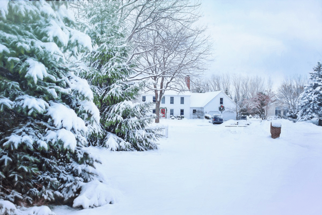 house and trees covered in snow