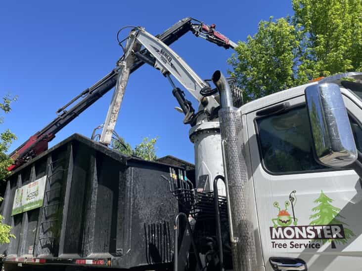 Tree Motring Photos | Monster Tree Service of Omaha