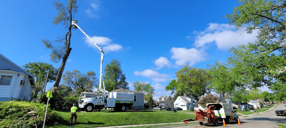 Crane in Air Trimming Tree 