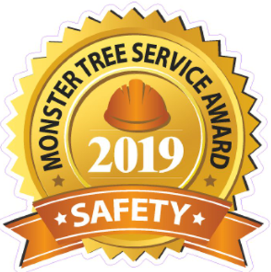 MTS Safety Award 2