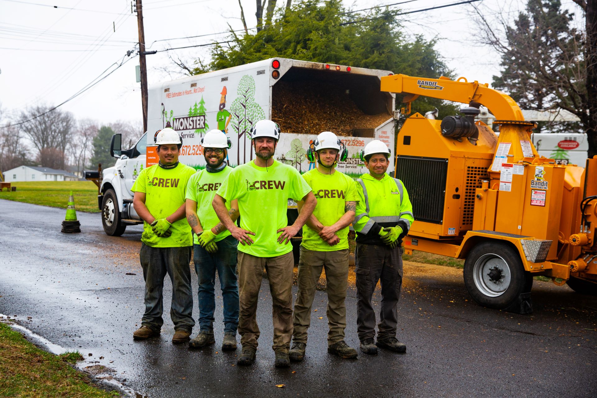 tree service anniston al