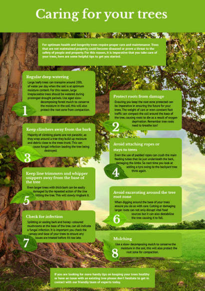Caring for Trees Diagram 