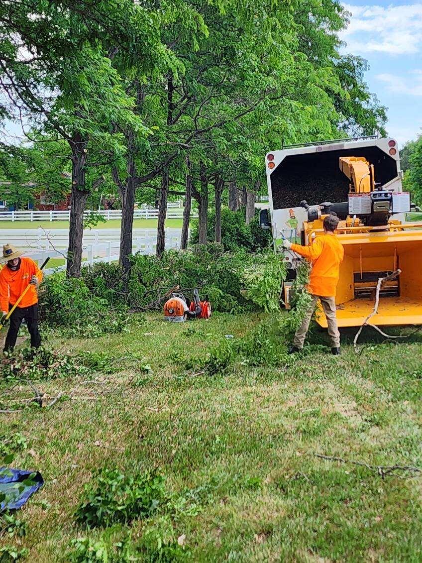 Image of Monster Tree Crew working & Equipment