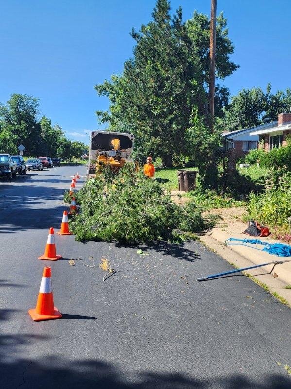 Image of Monster Tree Service Team using Wood Chipper in Neighborhood
