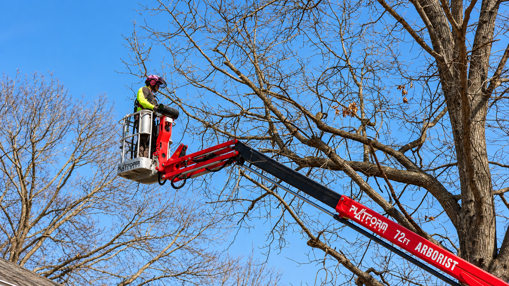 arborist in a lift basket